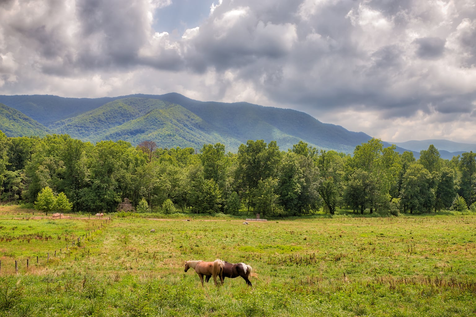 Sullivan County, Tennessee — rolling pastures and Appalachian mountains